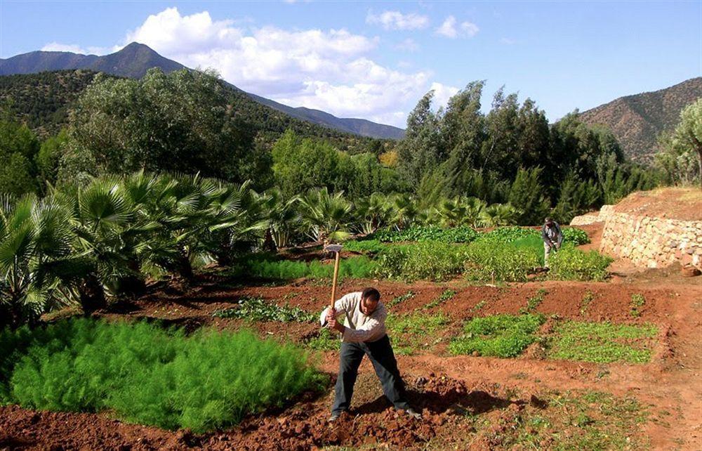 Domaine Malika Hotel Moulay Brahim Exterior foto